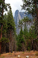 0828 Yosemite