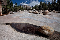 0855 YosemiteTioga