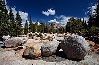 1543 Yosemite