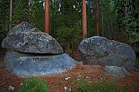 1570 Sequoia