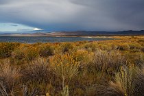 78 Natural reserve of Mono Lake - Northern California