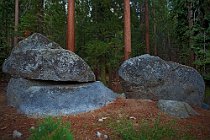 71 Parco Nazionale delle Sequoie, Sierra Nevada - California Centrale