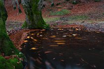 116 Aniene Creek Valley - National Park of Simbruini Mountains