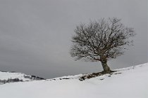 32 Semprevisa Peak - Regional Park of Lepini Mountains