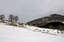 36 Semprevisa Peak - Regional Park of Lepini Mountains