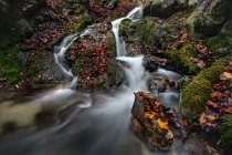111 Fiume Aniene - Parco Nazionale dei Monti Simbruini