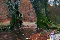 119 Fiume Aniene - Parco Nazionale dei Monti Simbruini