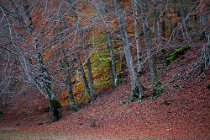 120 Vallata del Fiume Aniene - Parco Nazionale dei Monti Simbruini