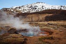 35 Geotermal area of Geyser