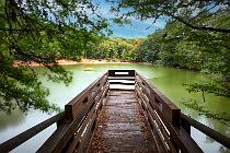 5186_ForestaUmbra 13