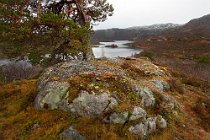 47 Landscape of  Hardangervidda