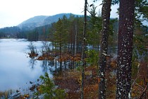 53 Lago nel Parco Nazionale del Telemark - Sud Norvegia