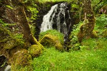 03 Ears Fors waterfalls, Mull Island