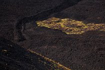06 Monte Etna, piana lavica non recente
